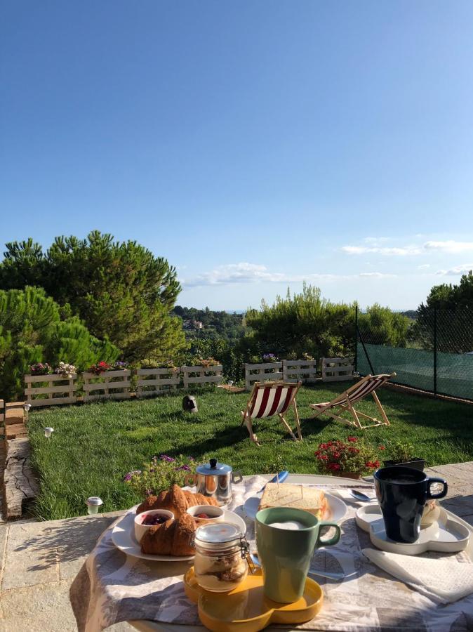 La Trave Bed and Breakfast Montecosaro  Eksteriør billede